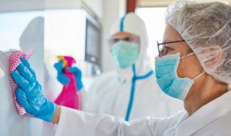 Control de plagas en Mallorca