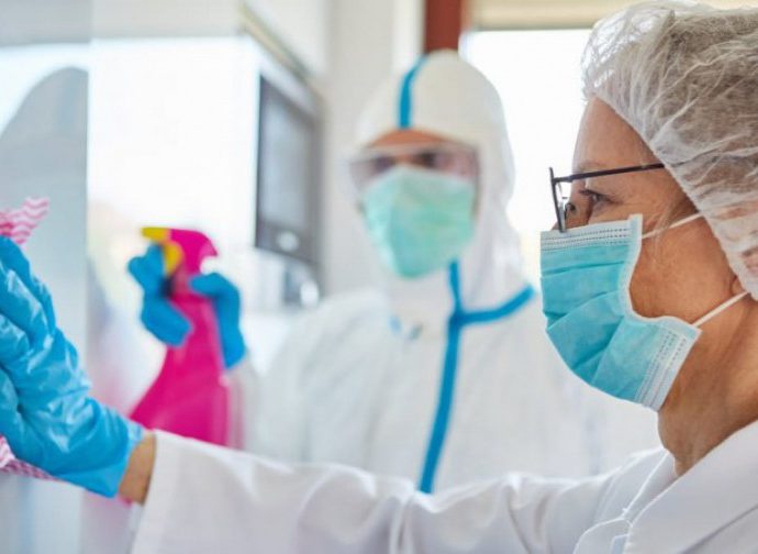 Control de plagas en Mallorca