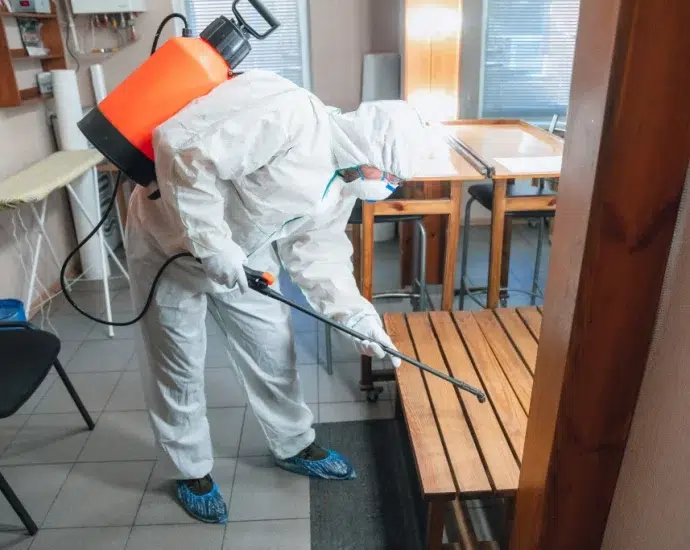 Control de plagas en Mallorca